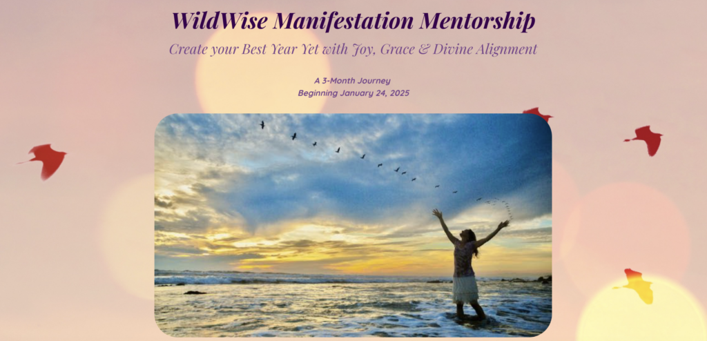 wildwise manifestation mentorship 2025